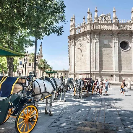 Ohliving San Gregorio * Siviglia